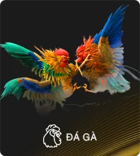 Sảnh ĐÁ GÀ 888B